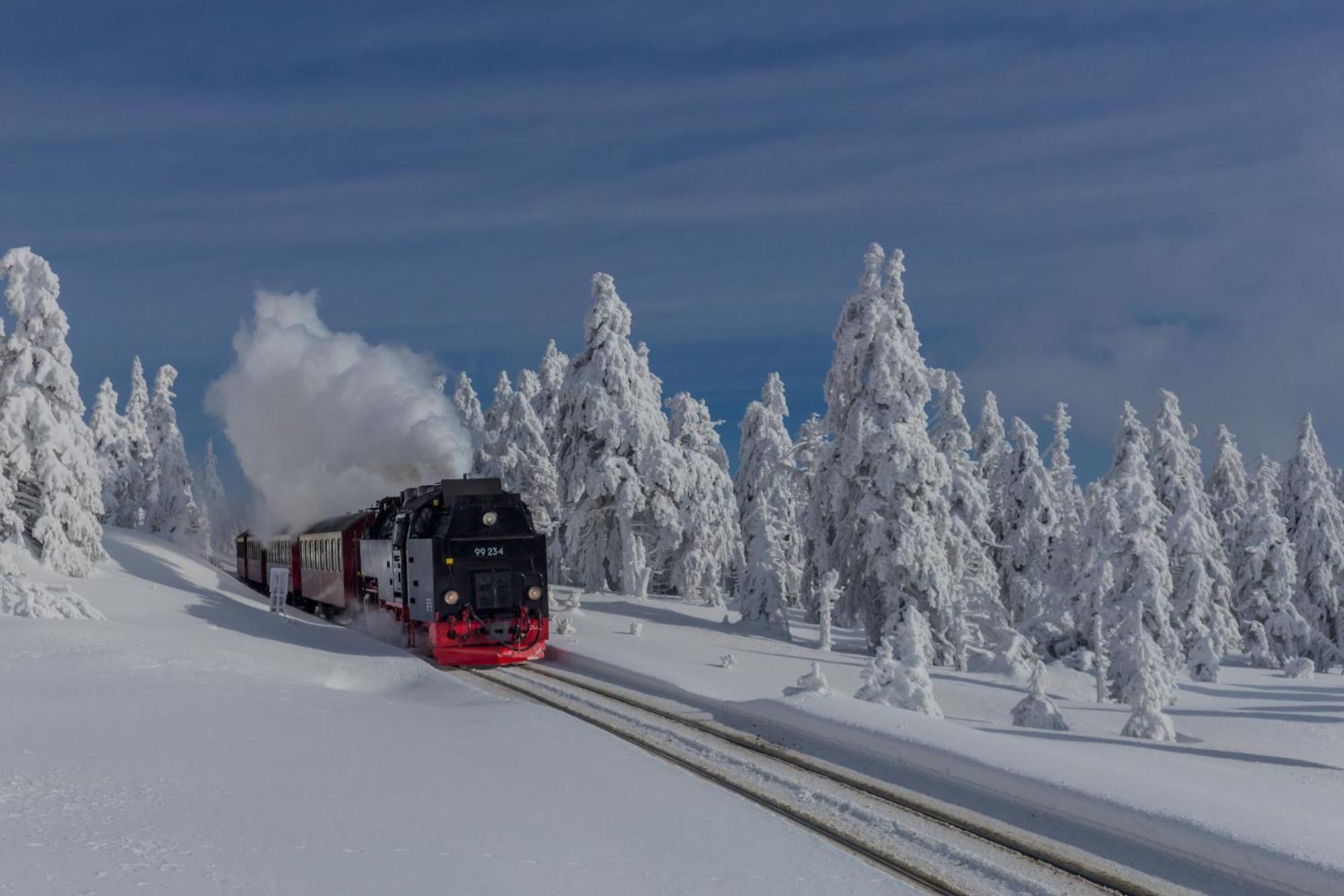 Fewo Schloesschen #Innenstadt#Garten#Ruhige Lage Von Harztraveler Wernigerode Esterno foto